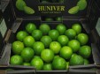 lime huniver 1_0406